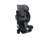 goldfix plus crno 3